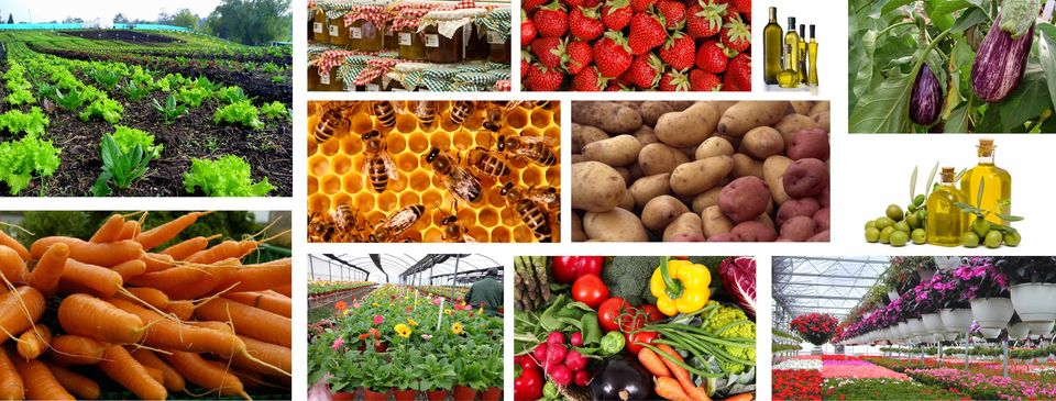 El gobierno bonaerense y el Senasa acordaron trabajar para fortalecer las exportaciones agrícolas