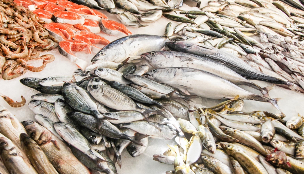 Los alimentos procedentes del mar representarán el 25% de la proteína necesaria para alimentar a la población mundial en 2050