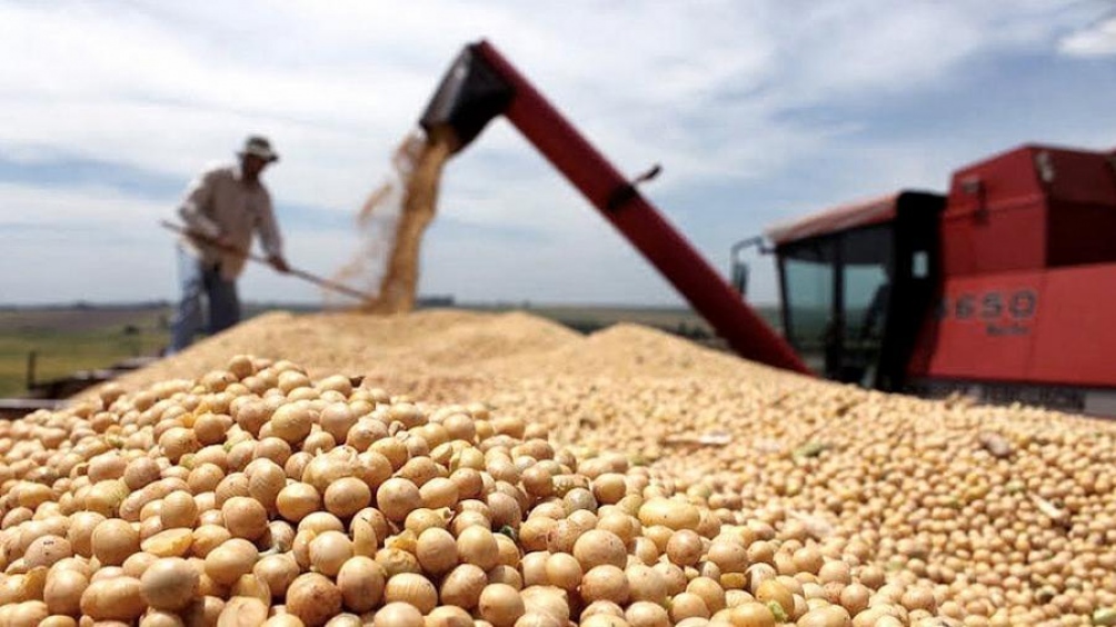 Exportación récord de aceite de soja en el primer bimestre del año