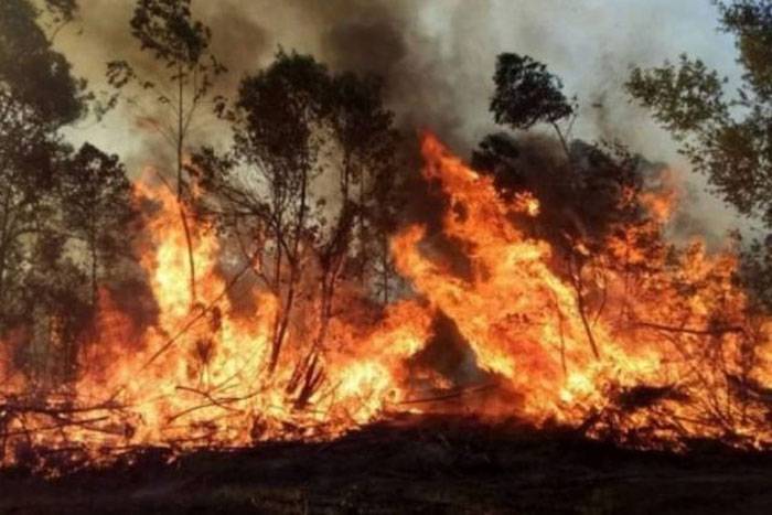 Continúa el combate a las llamas en Corrientes