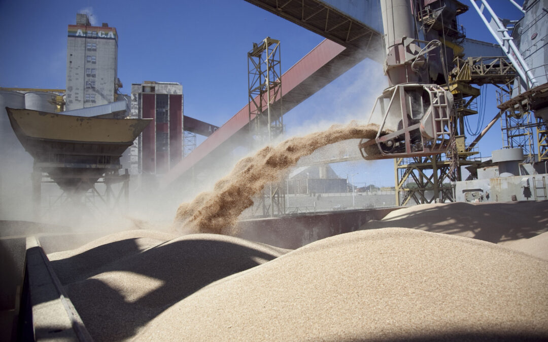 Suspendieron las exportaciones de harina y aceite de soja