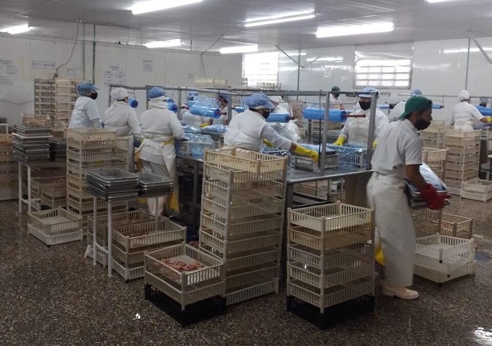 Habilitan un establecimiento pesquero en Río Negro para exportar a la Unión Europea