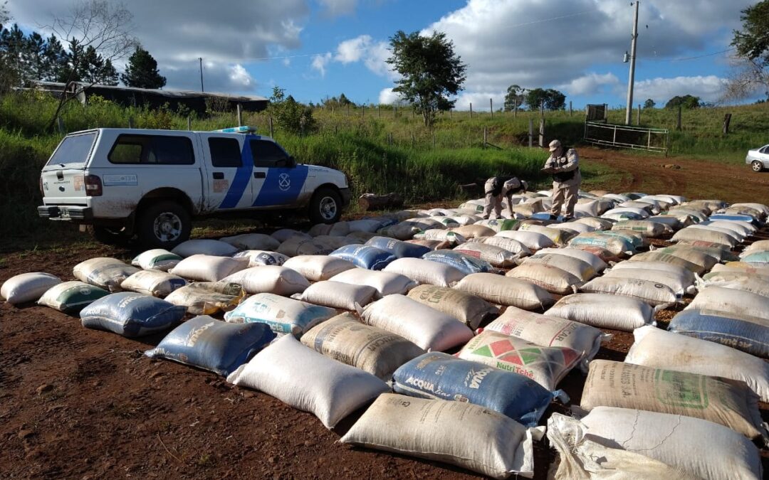 Decomisaron 4.400 kilos de soja de contrabando