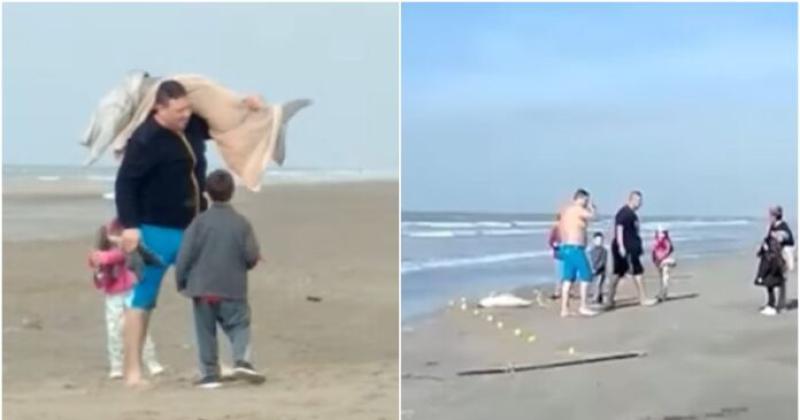 Presentaron una denuncia penal por el caso de un delfín que fue capturado en Mar del Tuyú