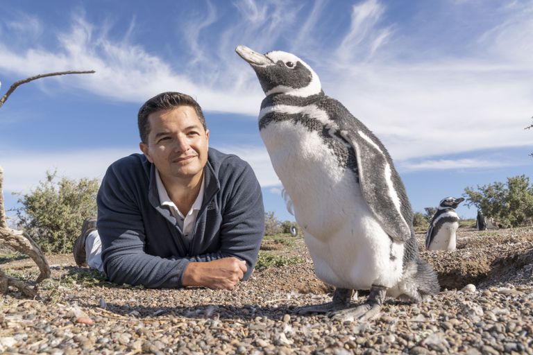 Biólogo argentino ganó premio internacional por protección a pingüinos