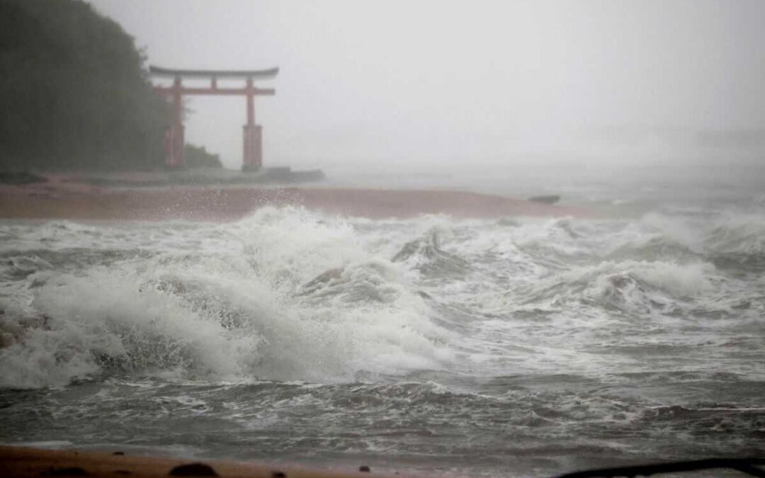 Un muerto y 200.000 hogares sin electricidad en Japón tras el paso de un tifón