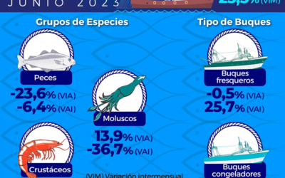 La actividad en el sector pesquero tuvo un crecimiento interanual del 3,6% en junio