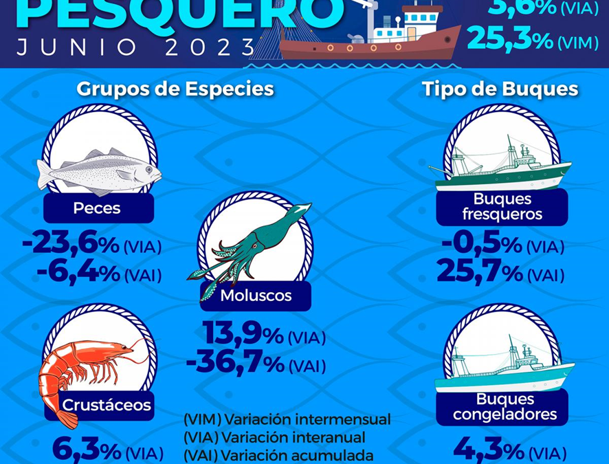 La actividad en el sector pesquero tuvo un crecimiento interanual del 3,6% en junio