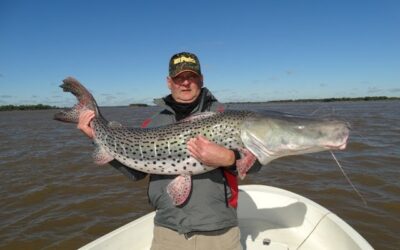 Hay recompensa para quienes pesquen surubíes marcados en el río Uruguay