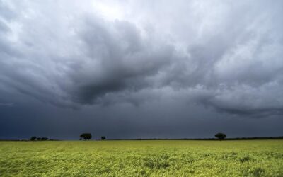 El SMN declaró oficialmente la presencia de «El Niño» en Argentina