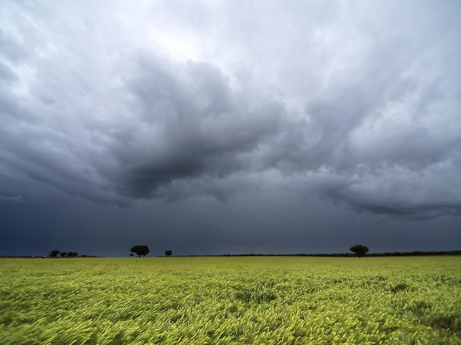 El SMN declaró oficialmente la presencia de “El Niño” en Argentina