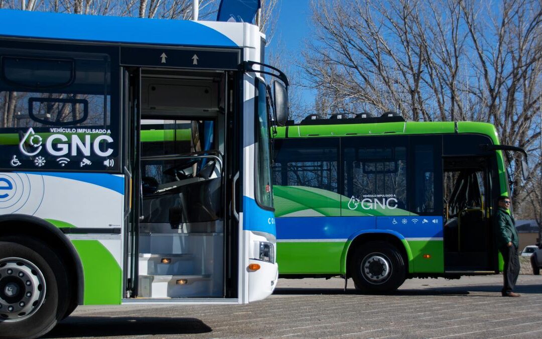 El boleto de colectivo aumentó casi el 45% en Neuquén y pasó a costar $280